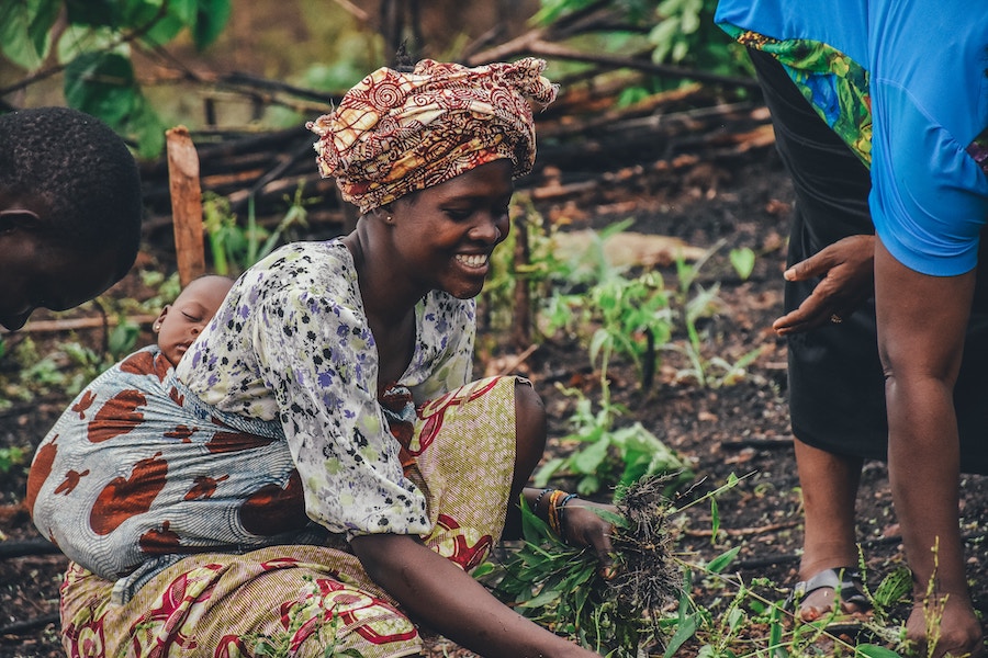 Poor Rural Mother Food security and human development: time to recognise the ...
